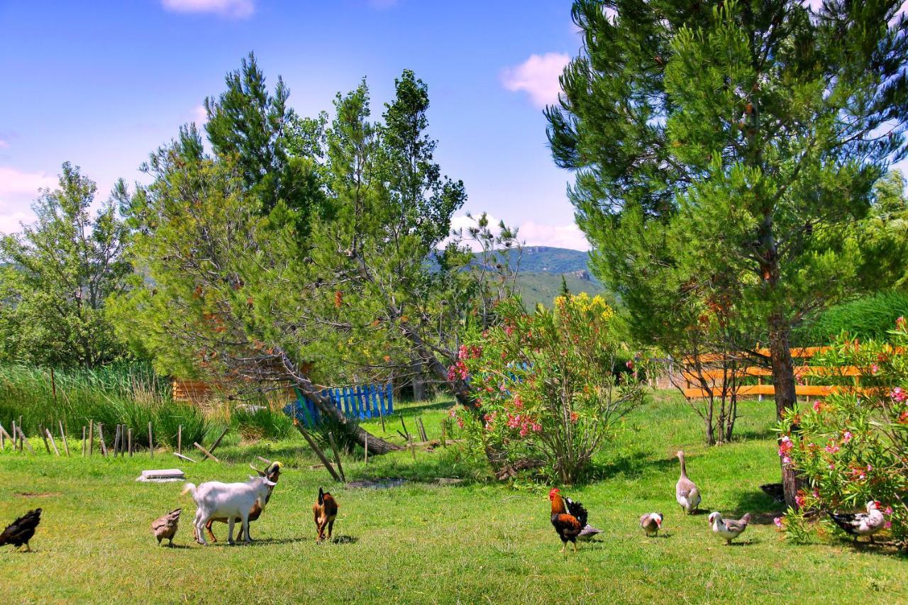 Tuchan Camping La Peiriere מראה חיצוני תמונה
